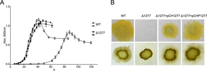 FIG 2