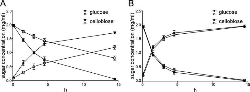 FIG 6