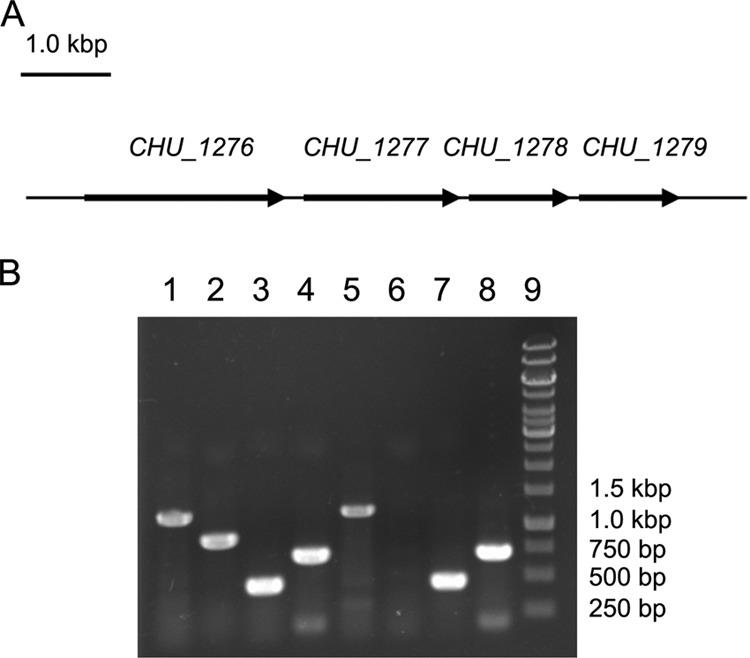 FIG 3