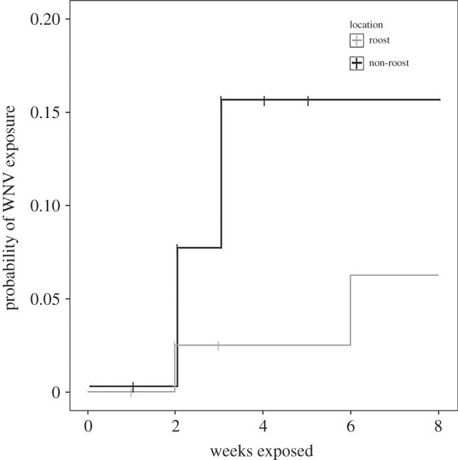 Figure 2.