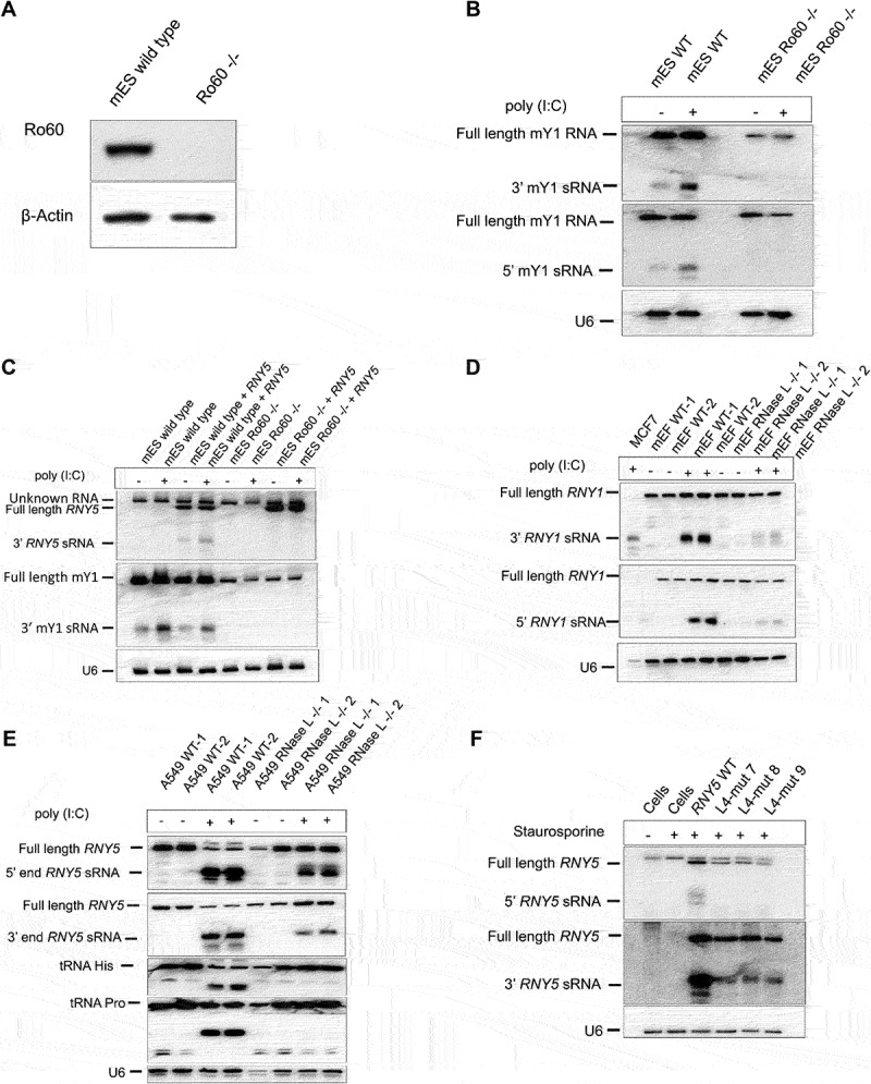 Figure 6.