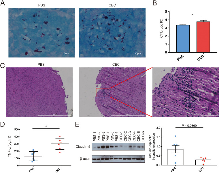 FIG 6