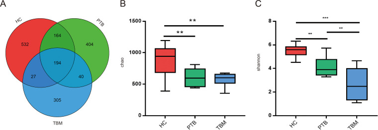 FIG 2