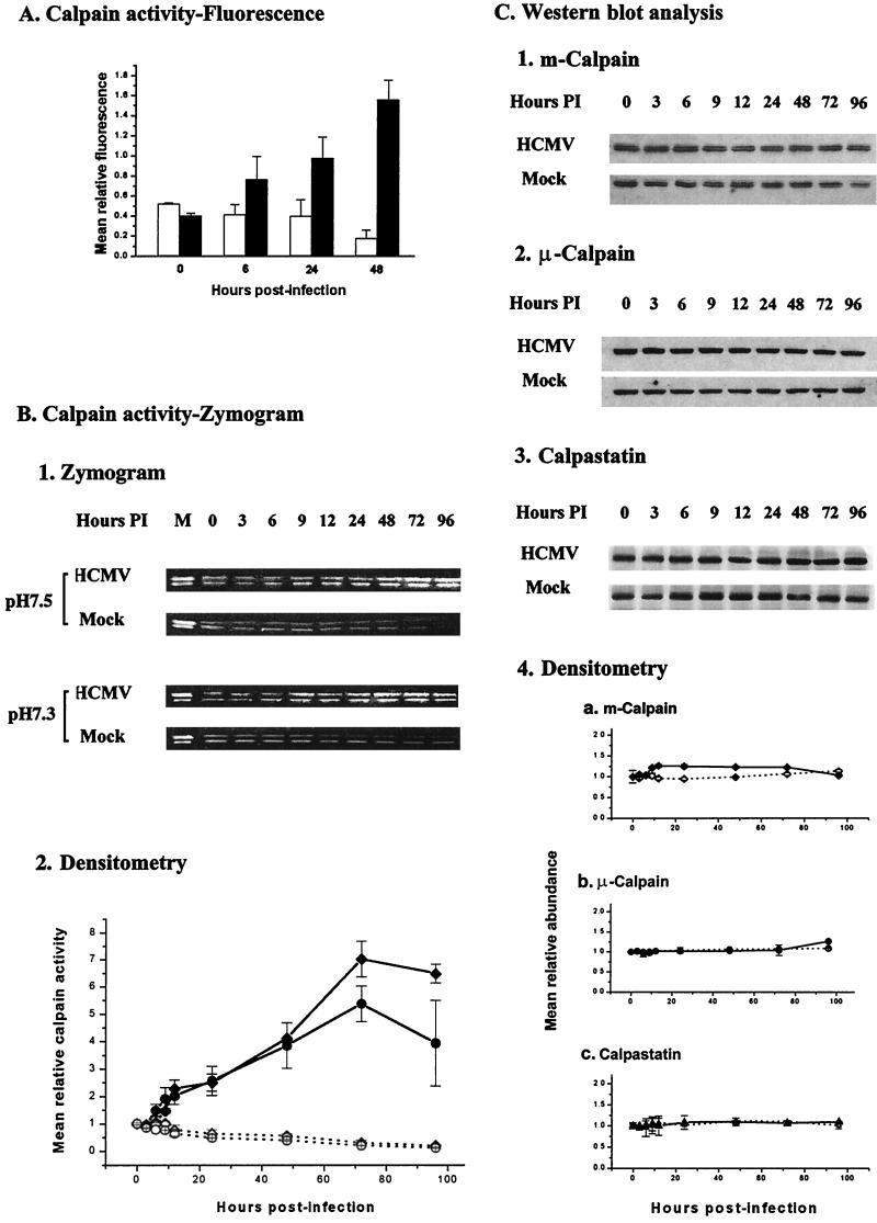 FIG. 7