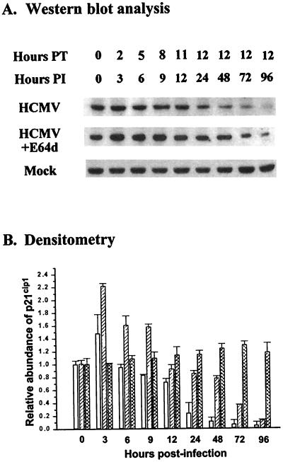 FIG. 6