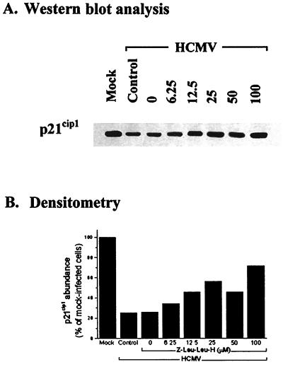 FIG. 5