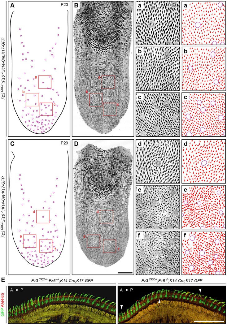 Fig. 6.