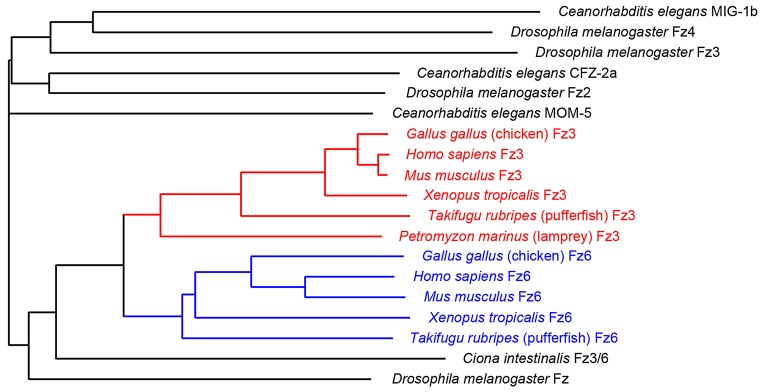 Fig. 7.