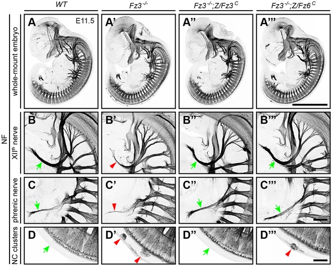 Fig. 3.