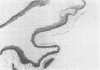 410