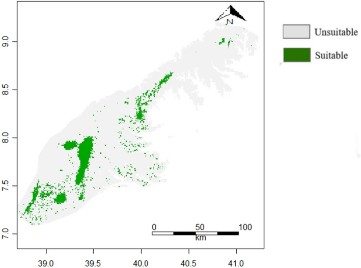 FIGURE 4