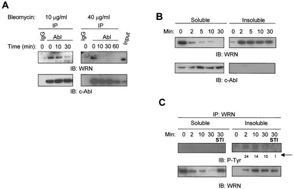 FIG.2.