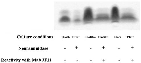 FIG. 5.