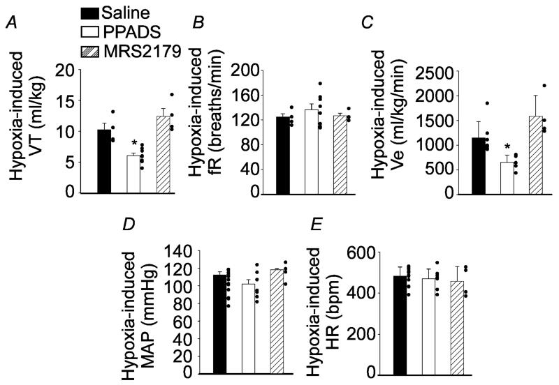 Figure 4)