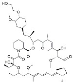 graphic file with name cancers-11-01465-i008.jpg