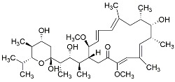 graphic file with name cancers-11-01465-i003.jpg