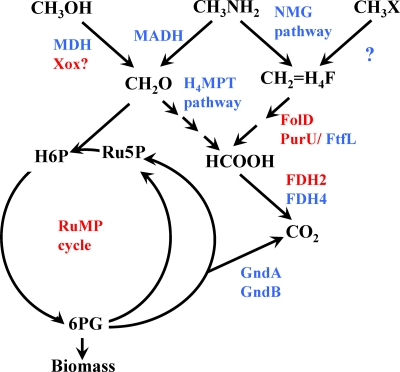 Fig. 3.