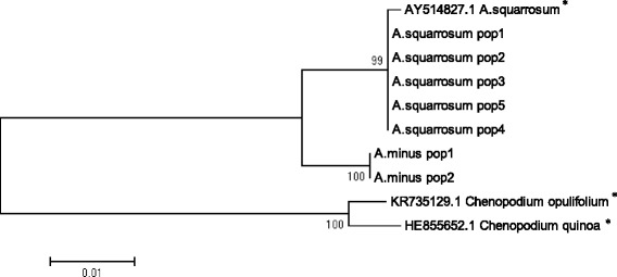 Fig. 5