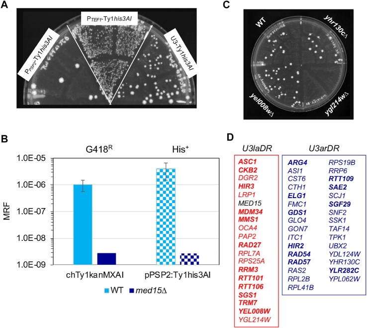 FIGURE 4