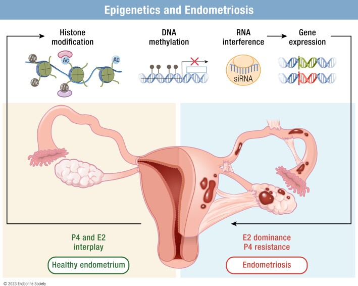 Graphical Abstract