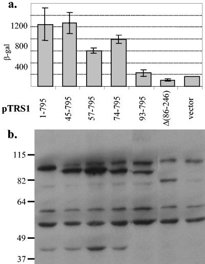 FIG. 7.