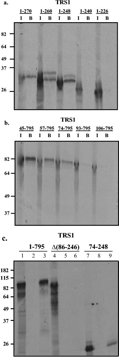 FIG. 4.