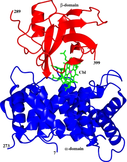 Fig. 1.