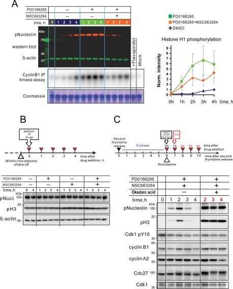 FIGURE 6: