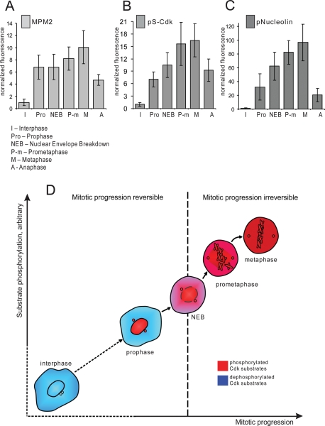 FIGURE 3: