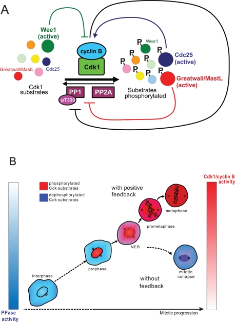 FIGURE 7: