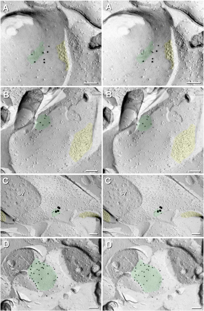 Fig. 13