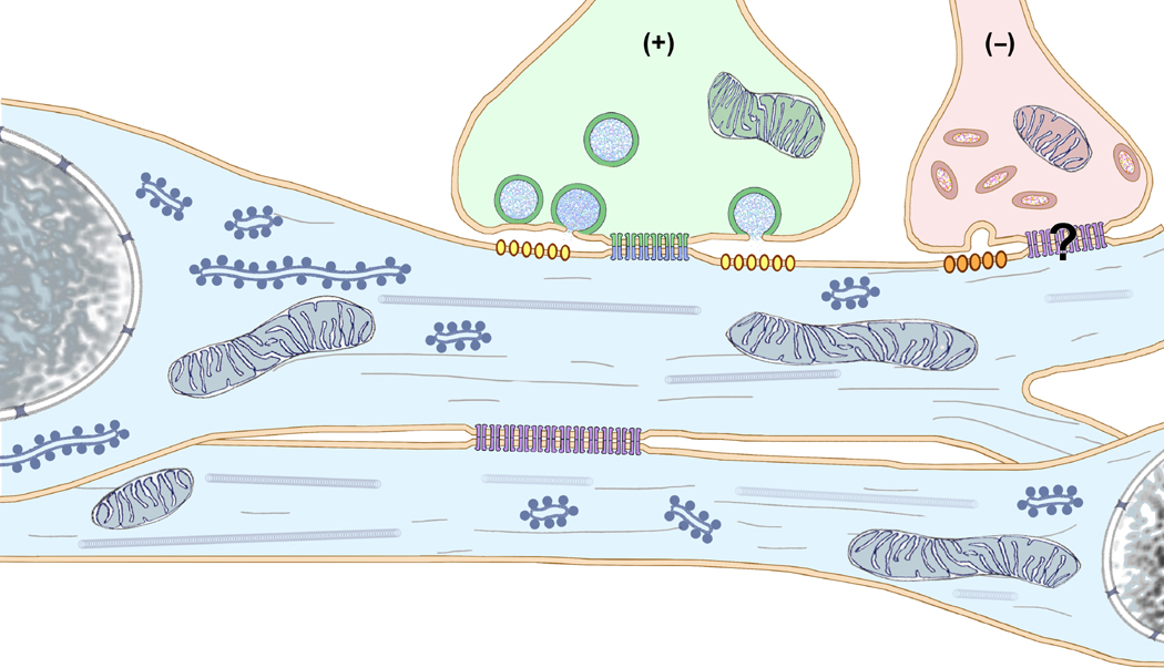 Fig. 14