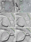 Fig. 9