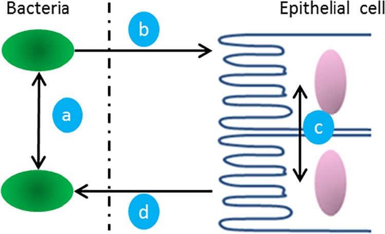 FIG 1 