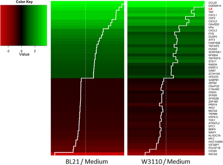 FIG 4 