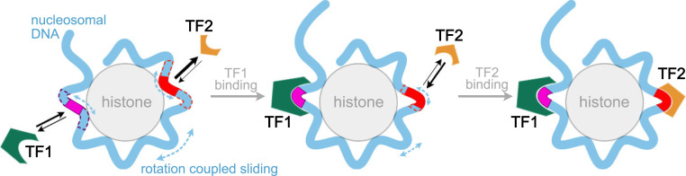 Fig. 7.