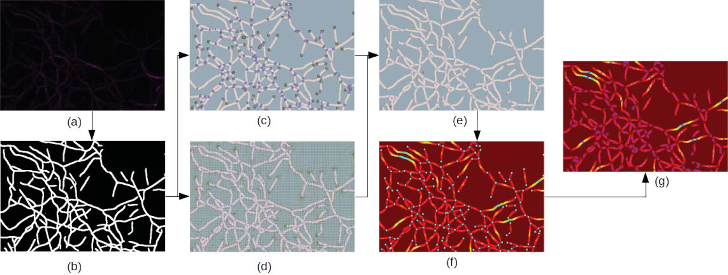 Fig. 2.