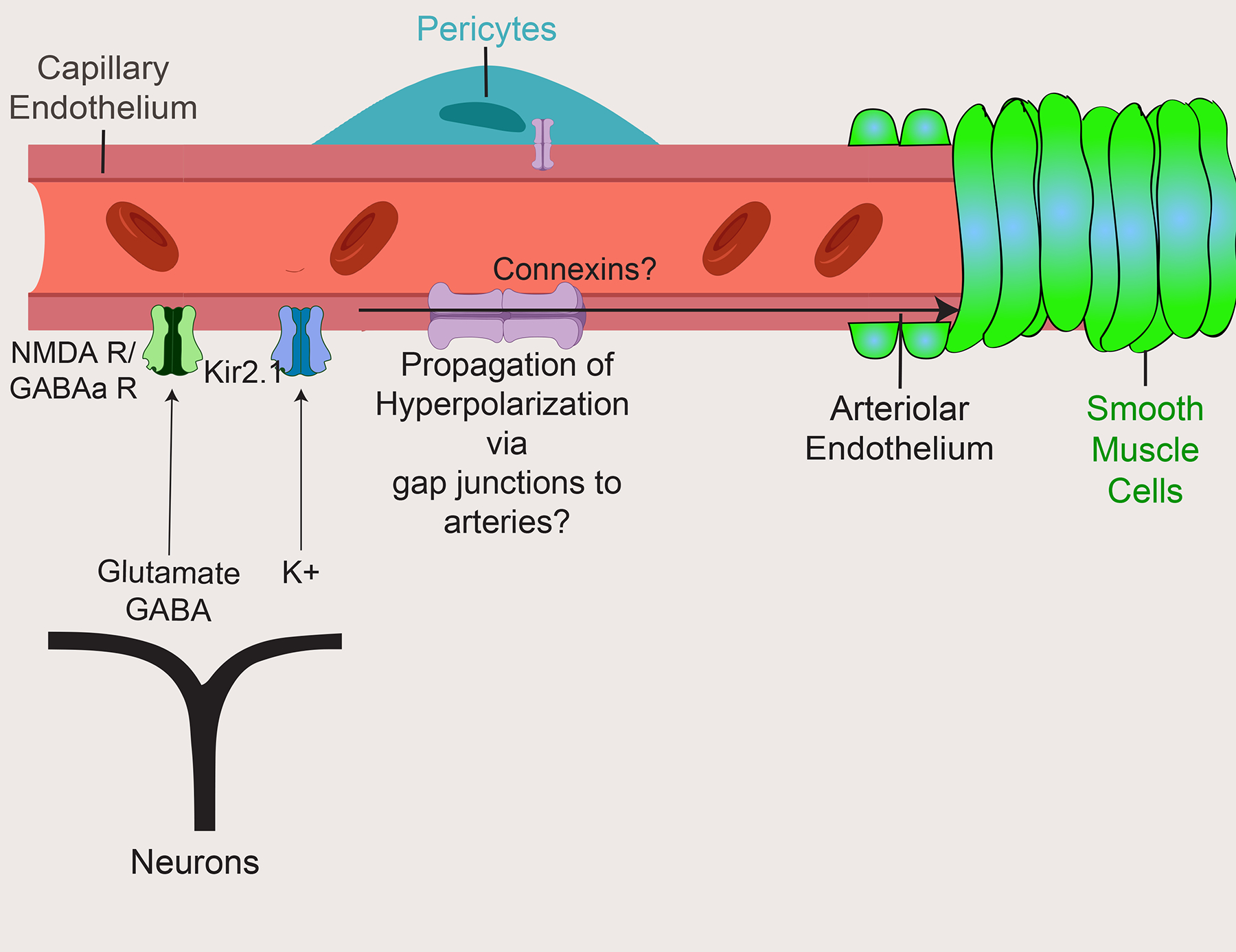 Fig. 4 |