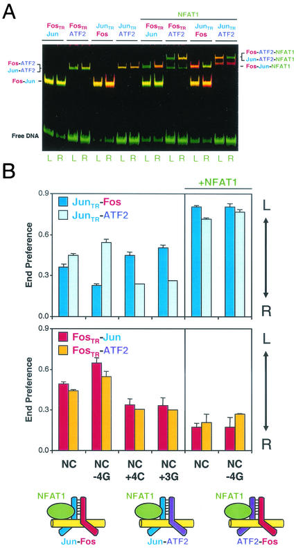 FIG. 4.