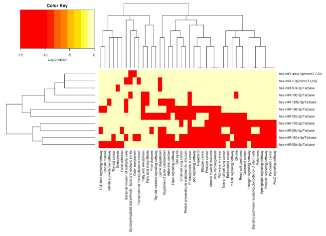 Figure 13