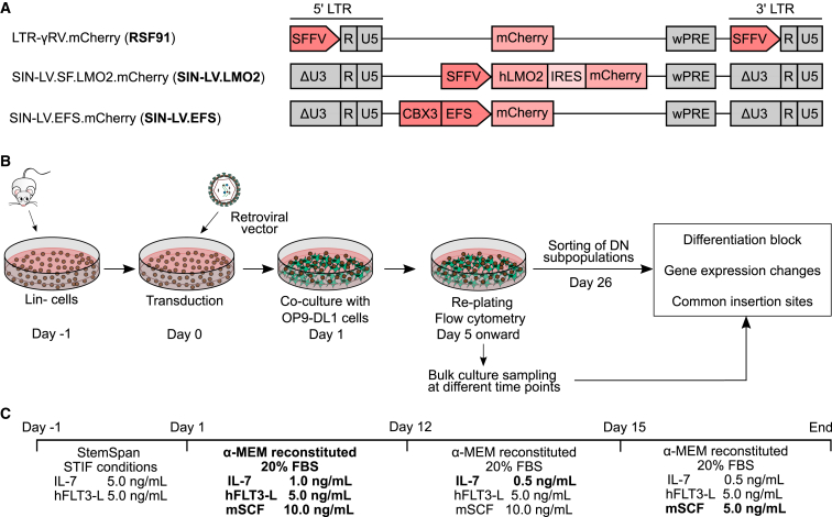 Figure 1