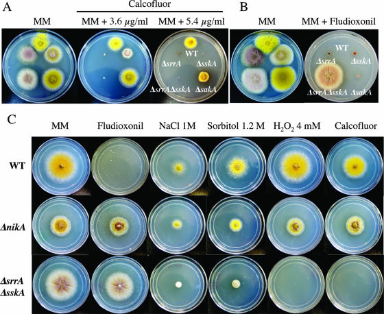 FIG. 4.