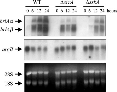 FIG. 7.