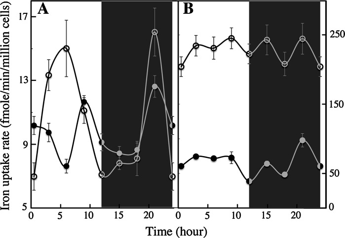 Fig. 4