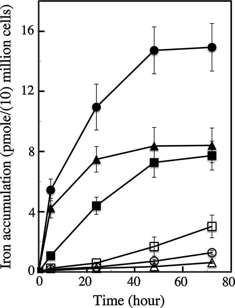 Fig. 3