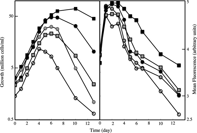 Fig. 1