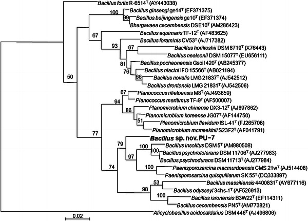 Fig. 2