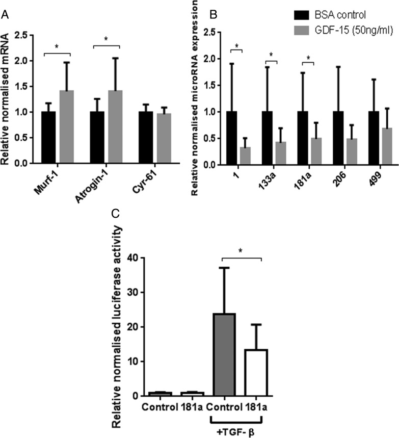 Figure 6