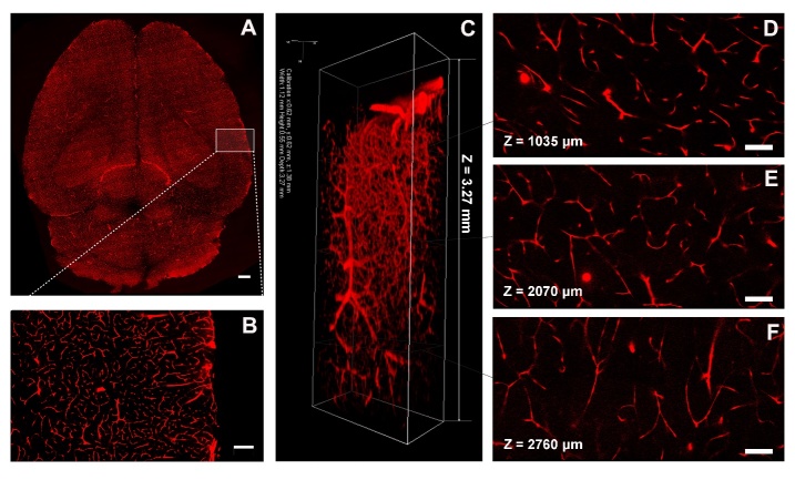 Figure 3.