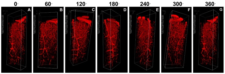 Figure 5.